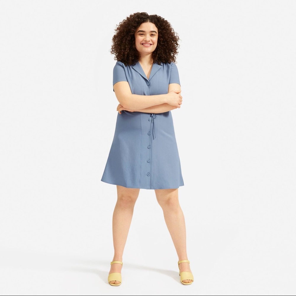 Everlane Japanese GoWeave Notched Shirtdress